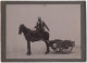 Photo Cartonnée  Bel Attelage   Cheval Et Cariole 9 Cm  X 6 Cm - Anciennes (Av. 1900)