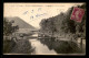 88 - ETIZAL CLAIREFONTAINE - LA MEURTHE A LA VANNE DU PONT - Etival Clairefontaine