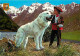 Animaux - Chiens - Chien Des Pyrénées - Blasons - Folklore - Montagne - Enfants - CPM - Voir Scans Recto-Verso - Dogs