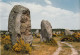 Carnac Les Alignements Du Ménec - Carnac