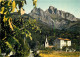 31 - Haute Garonne - Pic Du Gar - Hotel Du Pic Saillant - CPM - Voir Scans Recto-Verso - Sonstige & Ohne Zuordnung