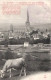 . 71 . AUTUN . La Cathédrale . Vue Prise De Rivault . Vache . (Cachet Sanitaire) - Autun