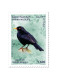 2024001; Syria; 2024; Strip Of 5 Stamps; Syrian Wildlife; Syrian Birds; 5 Different Stamps; MNH** - Pics & Grimpeurs