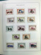 Delcampe - Collection Monaco, Album, 1885-1985, Timbres Neufs*/** Oblitéré, 2 Certificat - Collections, Lots & Séries