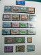 Delcampe - Collection Belgique Album Timbres Neufs */** Et Oblitérés Uniquement Services CV - Verzamelingen