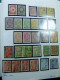 Delcampe - Collection Belgique Album Timbres Neufs */** Et Oblitérés Uniquement Services CV - Collections