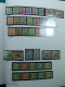 Delcampe - Collection Belgique Album Timbres Neufs */** Et Oblitérés Uniquement Services CV - Verzamelingen