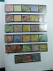 Delcampe - Collection Belgique Album Timbres Neufs */** Et Oblitérés Uniquement Services CV - Collections