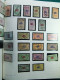 Delcampe - Collection Belgique Album Timbres Neufs */** Et Oblitérés Uniquement Services CV - Verzamelingen