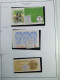 Delcampe - Collection Finlande, Pages D'album, Jusqu'en 1986, Carnets Avec Timbres Neufs ** - Collections