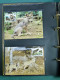Collection Théme WWF Neufs** Timbres Enveloppes Pologne Niger Maurice - Sonstige & Ohne Zuordnung