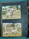 Collection Théme WWF Neufs** Timbres Enveloppes Pologne Niger Maurice - Autres & Non Classés