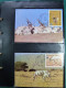 Delcampe - Collection Théme WWF Neufs** Timbres Enveloppes Pologne Niger Maurice - Sonstige & Ohne Zuordnung