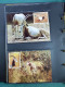 Delcampe - Collection Théme WWF Neufs** Timbres Enveloppes Pologne Niger Maurice - Autres & Non Classés