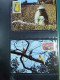 Collection Théme WWF Timbres Neufs ** Enveloppes Bhoutan Brésil Chili - Sonstige & Ohne Zuordnung