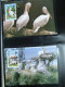 Delcampe - Collection Théme WWF Timbres Neufs ** Enveloppes Bhoutan Brésil Chili - Sonstige & Ohne Zuordnung