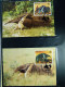 Delcampe - Collection Théme WWF Timbres Neufs ** Enveloppes Bhoutan Brésil Chili - Sonstige & Ohne Zuordnung