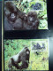 Delcampe - Collection Théme WWF Timbres Neufs ** Enveloppes Bhoutan Brésil Chili - Sonstige & Ohne Zuordnung