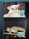 Delcampe - Collection Théme WWF Neufs** Timbres Enveloppes Salvador Tanzanie Bénin - Autres & Non Classés