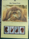 Delcampe - Collection Théme WWF Neufs** Timbres Enveloppes Salvador Tanzanie Bénin - Sonstige & Ohne Zuordnung