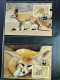 Delcampe - Collection Théme WWF Neufs** Timbres Enveloppes Salvador Tanzanie Bénin - Sonstige & Ohne Zuordnung
