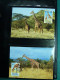 Delcampe - Collection Théme WWF Neufs** Timbres Enveloppes Salvador Tanzanie Bénin - Autres & Non Classés