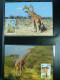 Delcampe - Collection Théme WWF Neufs** Timbres Enveloppes Salvador Tanzanie Bénin - Autres & Non Classés