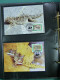 Delcampe - Collection Théme WWF Neufs** Timbres Enveloppes Cap Vert Mali Kongo  - Andere & Zonder Classificatie