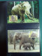 Delcampe - Collection Théme WWF Neufs** Timbres Enveloppes Cap Vert Mali Kongo  - Andere & Zonder Classificatie