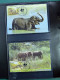 Delcampe - Collection Théme WWF Neufs** Timbres Enveloppes Cap Vert Mali Kongo  - Sonstige & Ohne Zuordnung