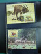 Delcampe - Collection Théme WWF Neufs** Timbres Enveloppes Cap Vert Mali Kongo  - Sonstige & Ohne Zuordnung