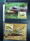 Delcampe - Collection Théme WWF Neufs** Timbres Enveloppes Cap Vert Mali Kongo  - Andere & Zonder Classificatie