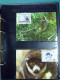 Delcampe - Collection Théme WWF Neufs** Timbres Enveloppes Cap Vert Mali Kongo  - Andere & Zonder Classificatie