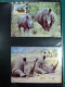 Delcampe - Collection Théme WWF Neufs** Timbres Enveloppes Antigua URSS DDR Zambie - Autres & Non Classés