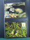 Collection WWF Timbres Neufs**et Enveloppes De Liechtenstein Kenya Tchad - Other & Unclassified