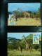 Delcampe - Collection WWF Timbres Neufs**et Enveloppes De Liechtenstein Kenya Tchad - Other & Unclassified