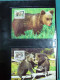 Delcampe - Collection WWF Timbres Neufs**et Enveloppes De Liechtenstein Kenya Tchad - Other & Unclassified