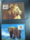 Delcampe - Collection WWF Timbres Neufs**et Enveloppes De Liechtenstein Kenya Tchad - Other & Unclassified