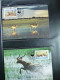 Delcampe - Collection WWF Timbres Neufs**et Enveloppes De Liechtenstein Kenya Tchad - Other & Unclassified