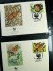 Delcampe - Collection WWF Timbres Neufs**et Enveloppes De Liechtenstein Kenya Tchad - Other & Unclassified