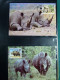 Delcampe - Collection WWF Timbres Neufs ** Enveloppes De Malgache Vietnam Comores - Other & Unclassified