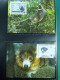 Delcampe - Collection WWF Timbres Neufs ** Enveloppes De Malgache Vietnam Comores - Autres & Non Classés