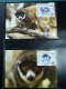 Delcampe - Collection WWF Timbres Neufs ** Enveloppes De Malgache Vietnam Comores - Other & Unclassified