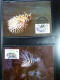 Delcampe - Collection WWF Timbres Neufs ** Enveloppes De Malgache Vietnam Comores - Sonstige & Ohne Zuordnung