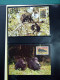 Collection WWF Album Timbres Neufs ** Enveloppes Anguilla Palau Hongrie - Other & Unclassified