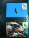 Delcampe - Collection WWF Album Timbres Neufs ** Enveloppes Anguilla Palau Hongrie - Sonstige & Ohne Zuordnung