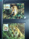 Delcampe - Collection WWF Album Timbres Neufs ** Enveloppes Anguilla Palau Hongrie - Autres & Non Classés