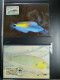 Delcampe - Collection WWF Album Timbres Neufs ** Enveloppes Anguilla Palau Hongrie - Sonstige & Ohne Zuordnung