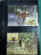 Delcampe - Collection WWF Album, Timbres Neufs ** Enveloppes Algérie Botswana Fidji - Andere & Zonder Classificatie