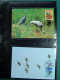 Delcampe - Collection WWF Album, Timbres Neufs ** Enveloppes Algérie Botswana Fidji - Andere & Zonder Classificatie